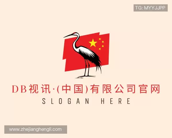 了解DB视讯官网