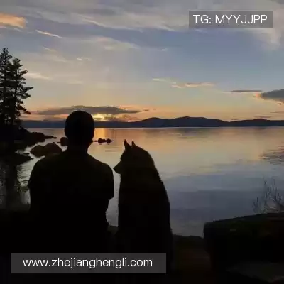苗坦舸
